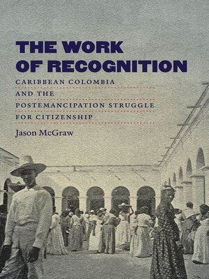 cover image of The Work of Recognition